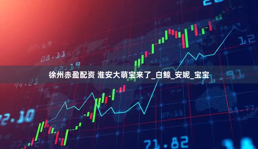 徐州赤盈配资 淮安大萌宝来了_白鲸_安妮_宝宝